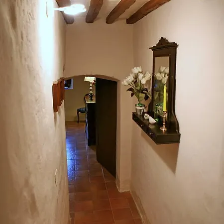 컨트리하우스 Residenza Antico Chianti 판자노